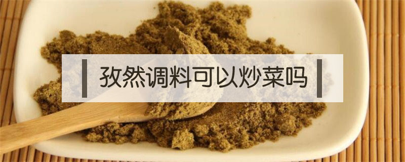 孜然调料可以炒菜吗