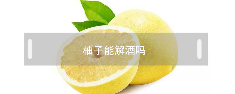 柚子能解酒吗