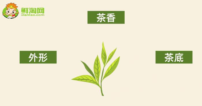 怎样辨别春茶