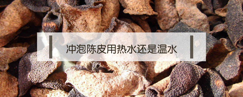 冲泡陈皮用热水还是温水