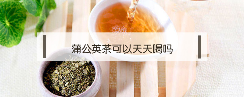 蒲公英茶可以天天喝吗