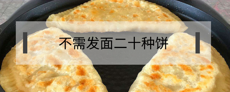 不需发面二十种饼