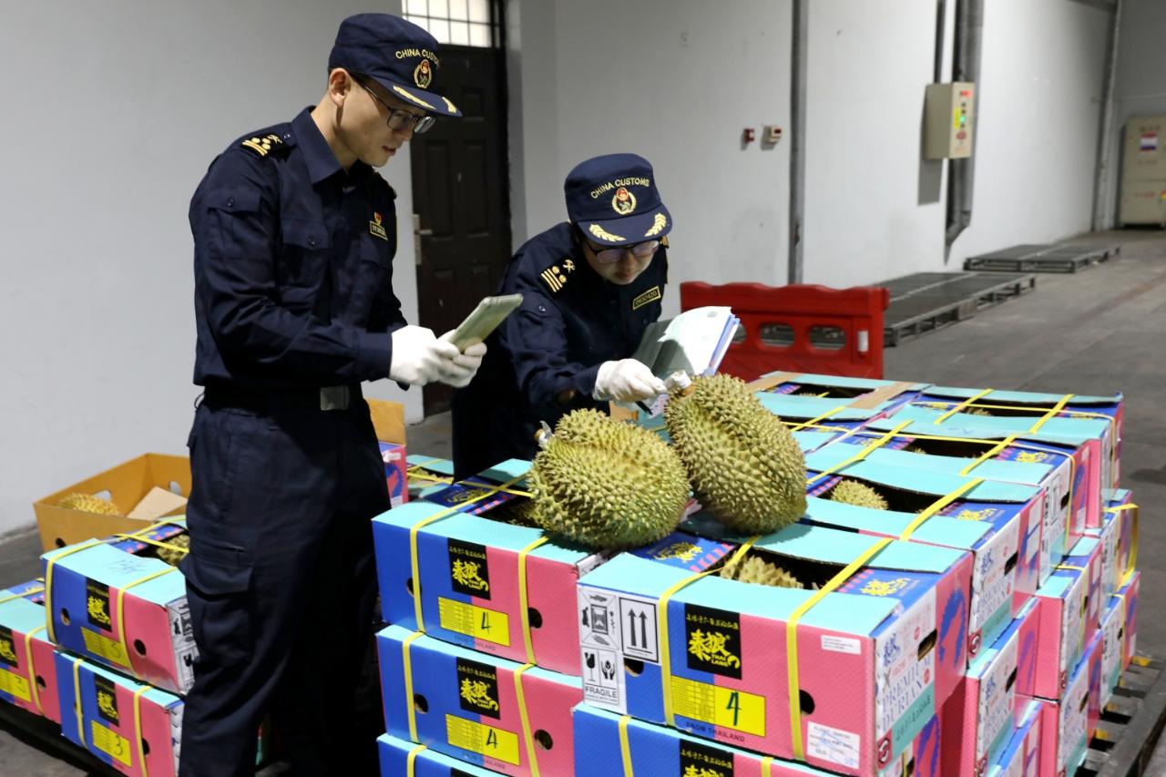 泰国榴莲：大连空运口岸迎来首批树熟金枕