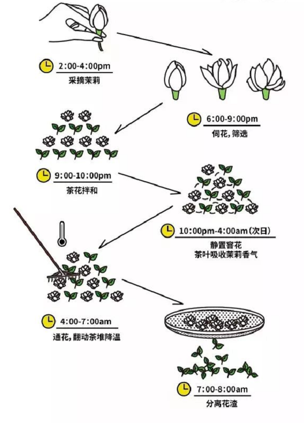 茉莉花茶