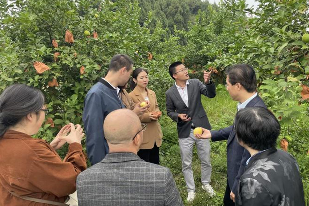 资阳发布《柠檬种植农业气象服务规范》地方标准  减少果品差异提质增效